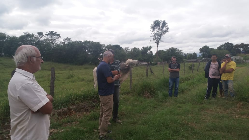 Visita ao Bairro do Bom Sucesso