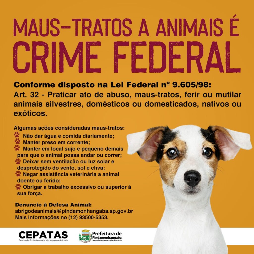 Maus-tratos a animais é crime