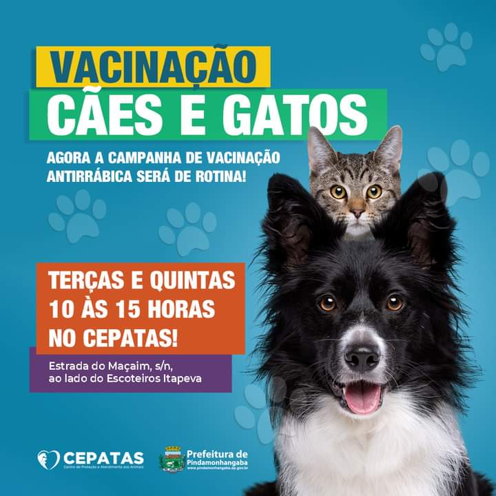 VACINAÇÃO PET